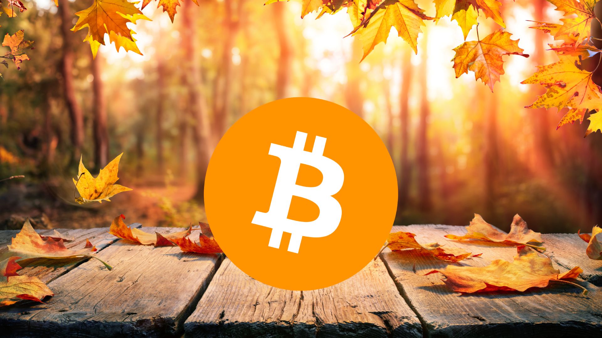 Bitcoin circle logo on top of wooden table with autumn leaves background