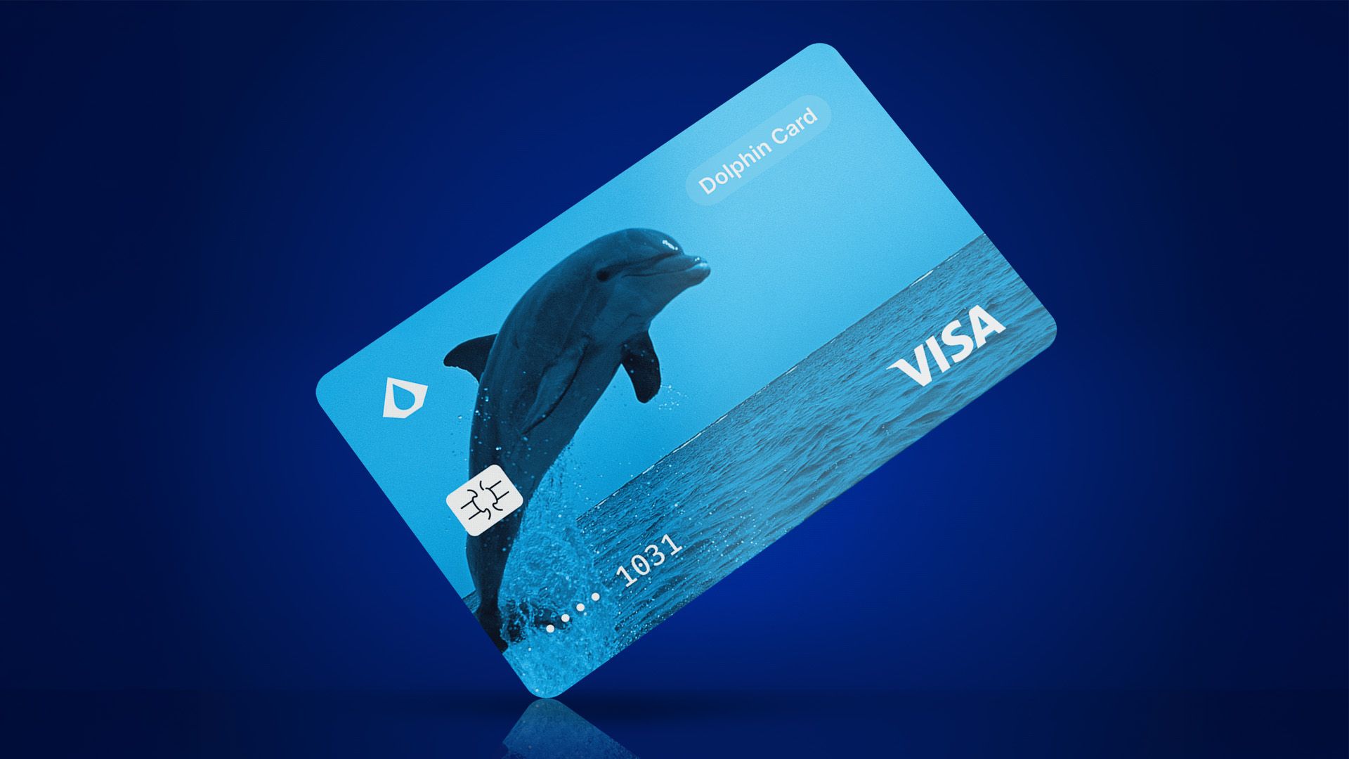 Enter The Dolphin